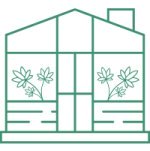 низкие сорта