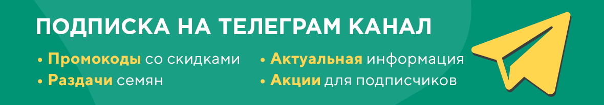 телеграмм канал семена конопли