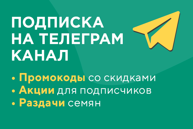 телеграмм канал семена конопли