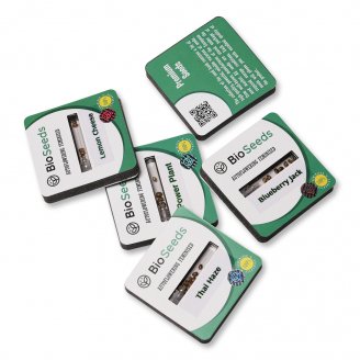 Kush-N-Cheese Auto Fem.