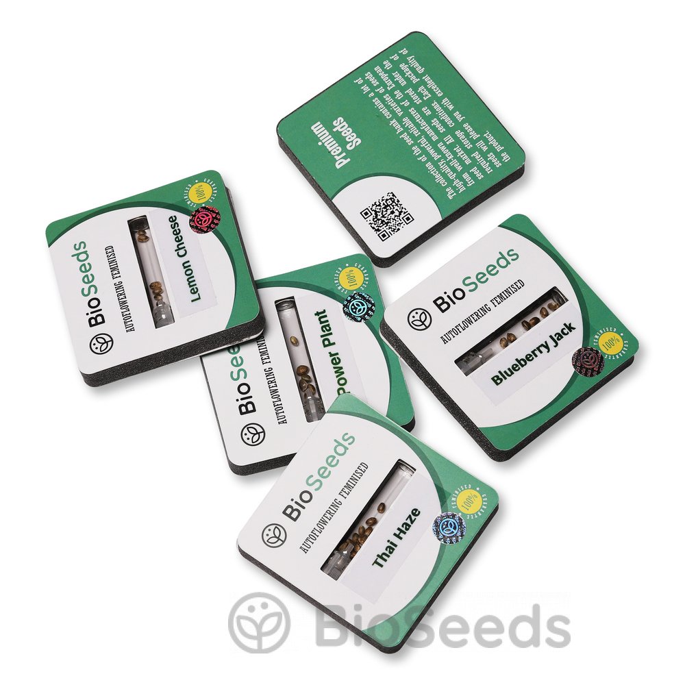 Tangie'matic Auto Fem.