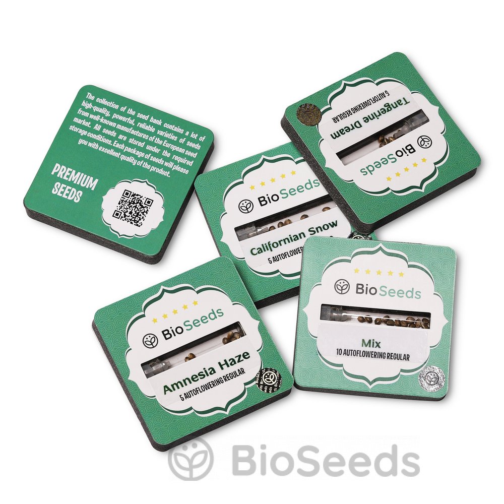 Amnesia Haze Auto Reg.