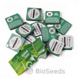 Tutankhamon Auto Fem.