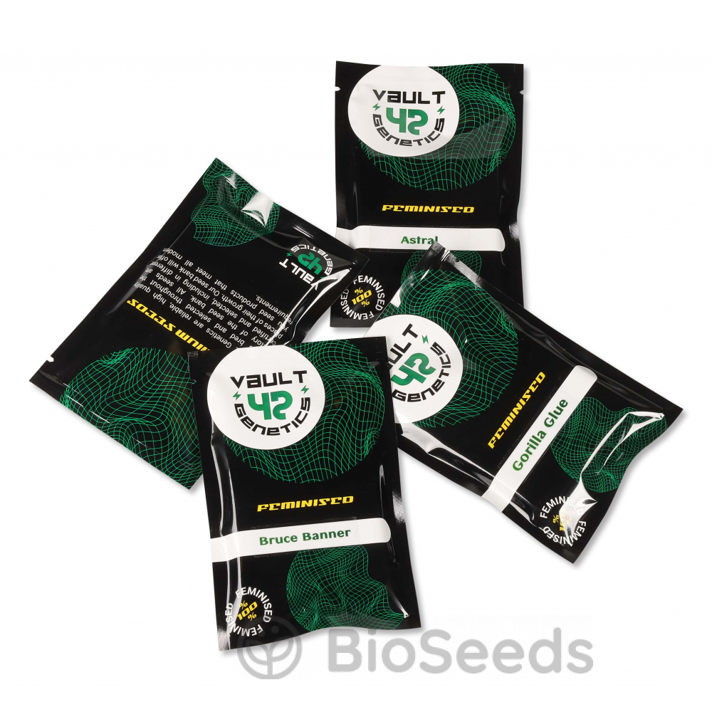 Grandmommy Purple Fem.