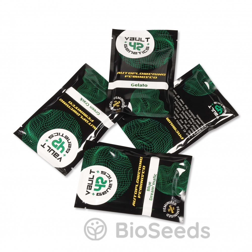 Orange Sherbet Auto Fem.