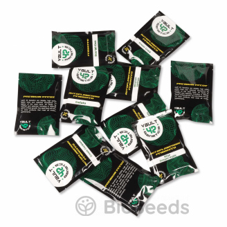 Cream Cookies Auto Fem.