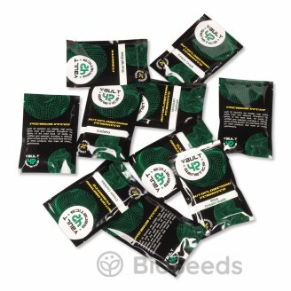 Wedding Glue Auto Fem.