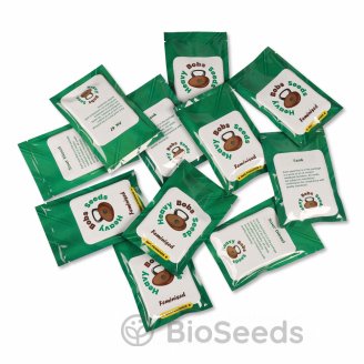 Blackberry Moonrocks Fem.