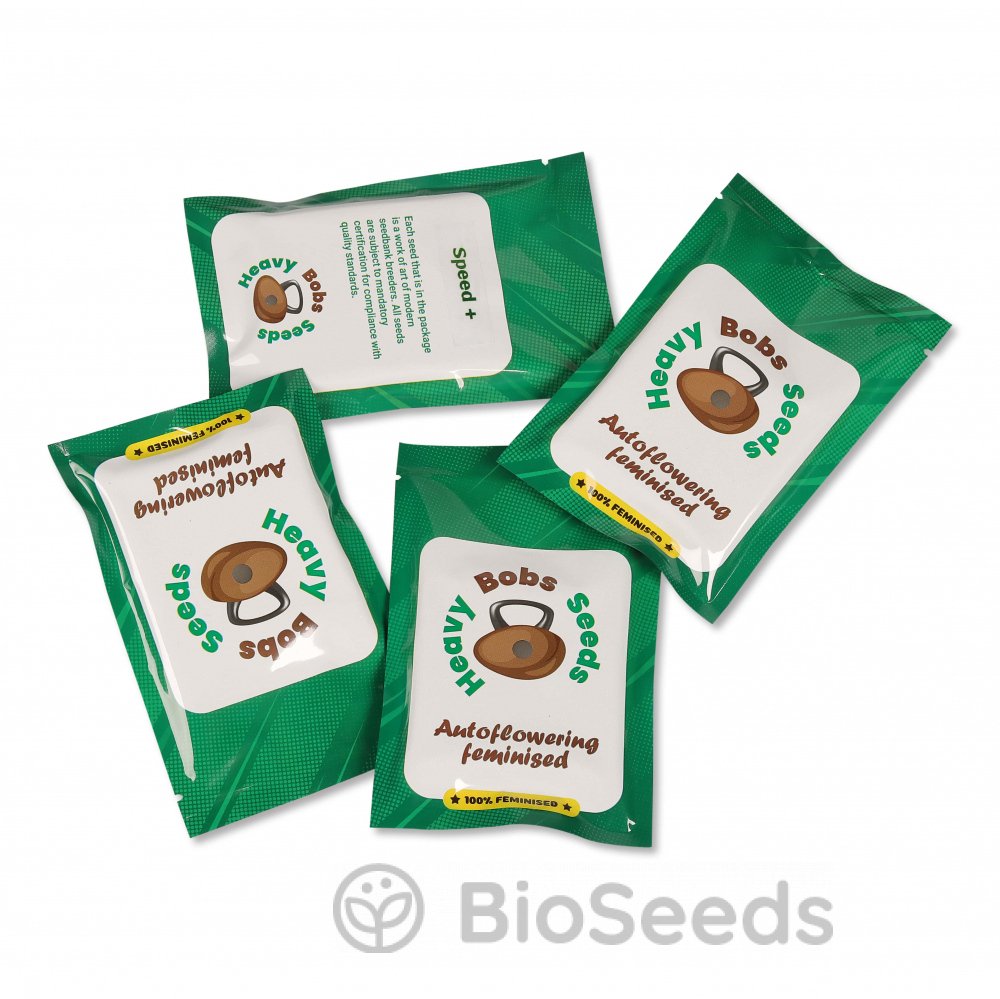 Blackberry Moonrocks Auto Fem.