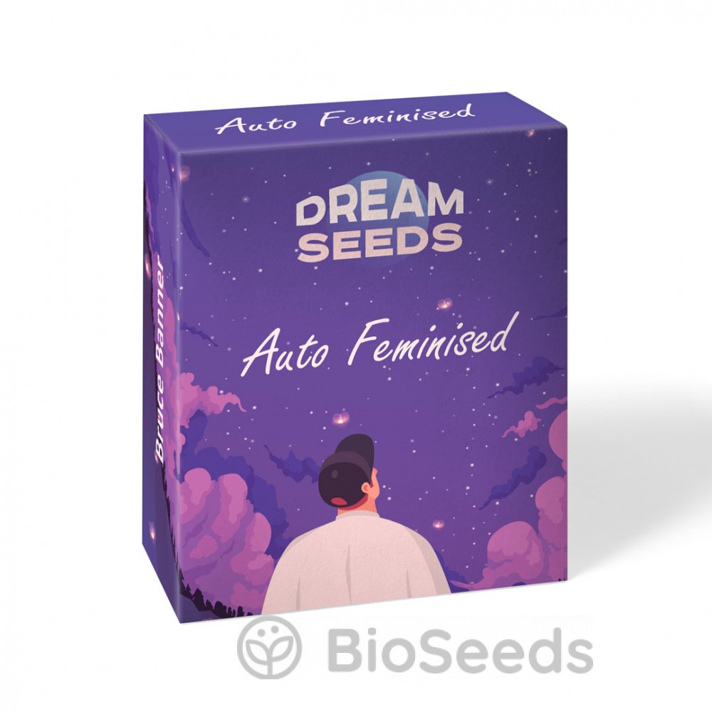 Black Widow Auto Fem.